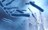 Hygiène et prévention des infections liées à l'eau